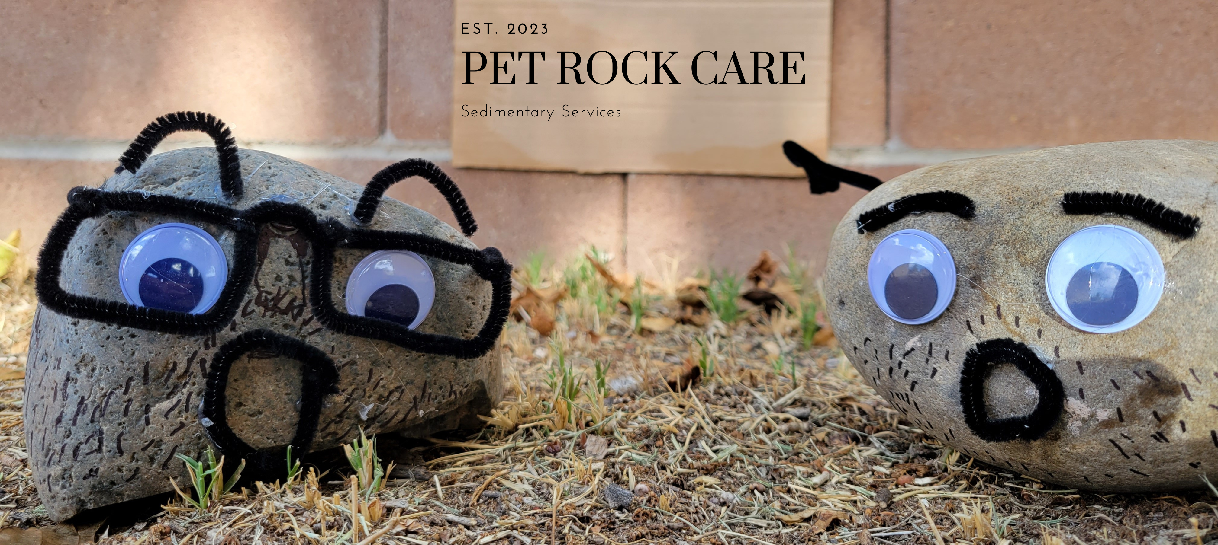 Welcome to Pet Rock Care